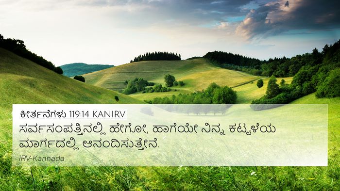 ಕೀರ್ತನೆಗಳು 119:14 KANIRV Bible Verse Image