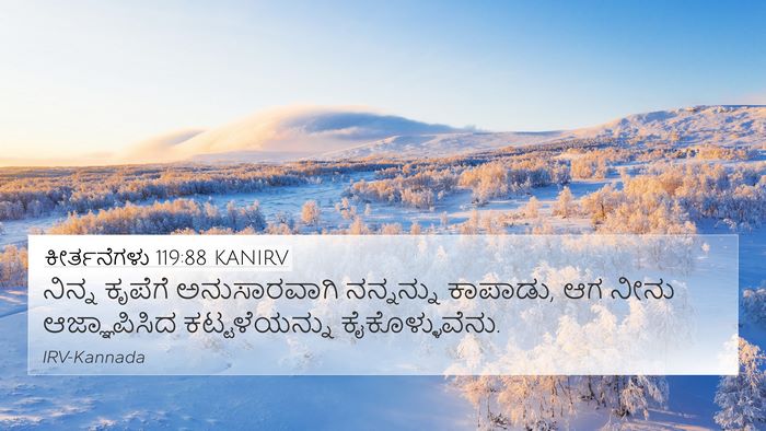 ಕೀರ್ತನೆಗಳು 119:88 KANIRV 4K Wallpaper - ನಿನ್ನ ಕೃಪೆಗೆ - 4K Wallpaper Bible Verse