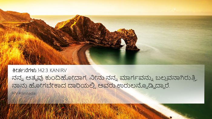 ಕೀರ್ತನೆಗಳು 142:3 KANIRV Bible Verse Image
