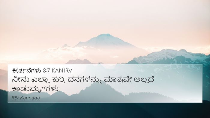 ಕೀರ್ತನೆಗಳು 8:7 KANIRV 4K Wallpaper - ನೀನು ಎಲ್ಲಾ ಕುರಿ, - 4K Wallpaper Bible Verse