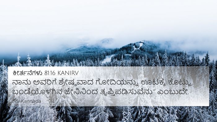 ಕೀರ್ತನೆಗಳು 81:16 KANIRV Bible Verse Image