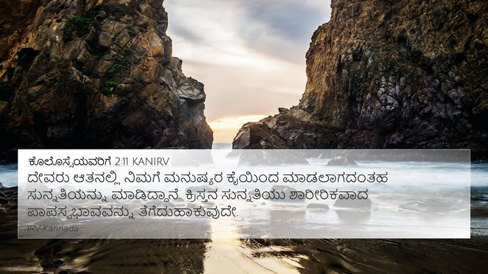 ಕೊಲೊಸ್ಸೆಯವರಿಗೆ 2:11 KANIRV Bible Verse Image