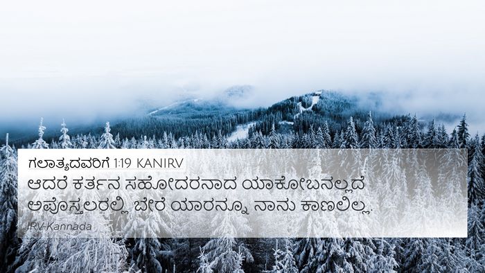 ಗಲಾತ್ಯದವರಿಗೆ 1:19 KANIRV Bible Verse Image