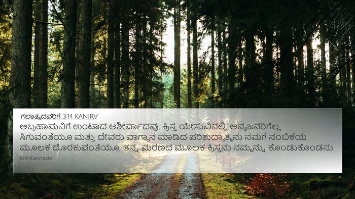 ಗಲಾತ್ಯದವರಿಗೆ 3:14 KANIRV Bible Verse Image