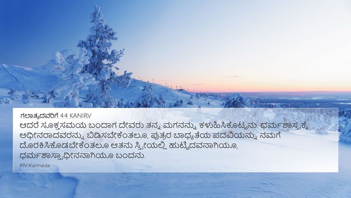 ಗಲಾತ್ಯದವರಿಗೆ 4:4 KANIRV Bible Verse Image