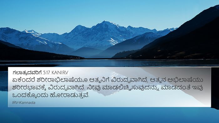 ಗಲಾತ್ಯದವರಿಗೆ 5:17 KANIRV Bible Verse Image