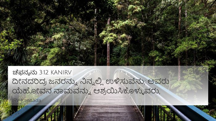 ಚೆಫನ್ಯನು 3:12 KANIRV Bible Verse Image