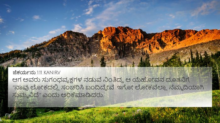 ಜೆಕರ್ಯನು 1:11 KANIRV Bible Verse Image