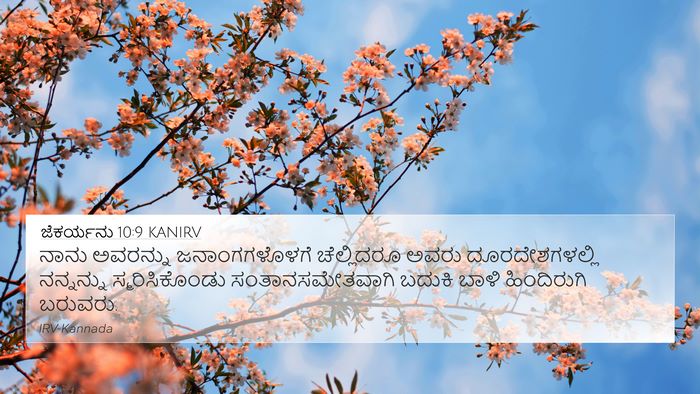 ಜೆಕರ್ಯನು 10:9 KANIRV Bible Verse Image