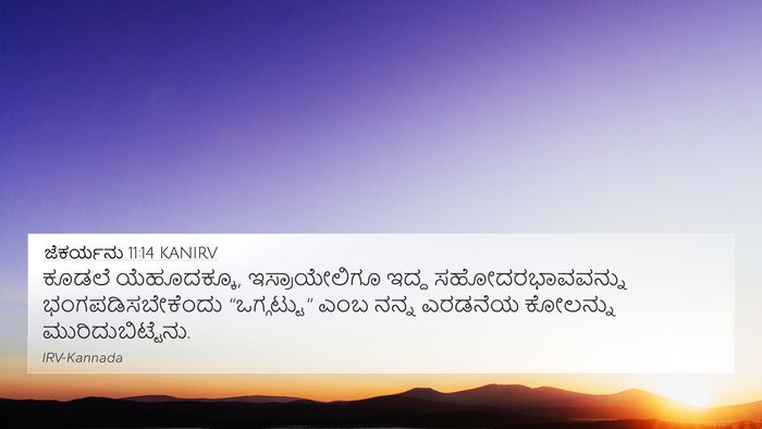 ಜೆಕರ್ಯನು 11:14 KANIRV Bible Verse Image