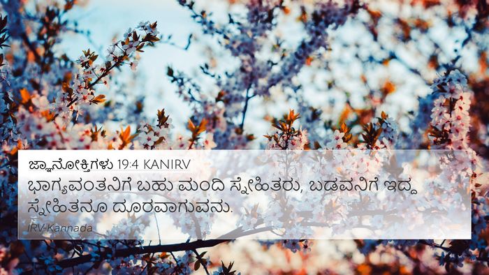 ಜ್ಞಾನೋಕ್ತಿಗಳು 19:4 KANIRV 4K Wallpaper - ಭಾಗ್ಯವಂತನಿಗೆ ಬಹು - 4K Wallpaper Bible Verse
