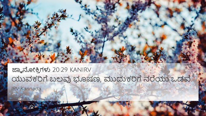 ಜ್ಞಾನೋಕ್ತಿಗಳು 20:29 KANIRV Bible Verse Image