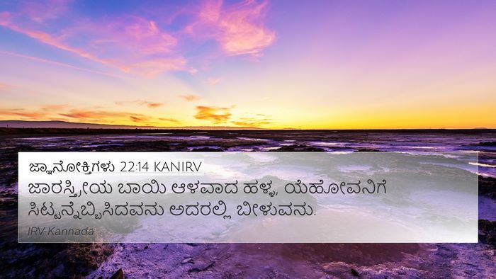 ಜ್ಞಾನೋಕ್ತಿಗಳು 22:14 KANIRV Bible Verse Image