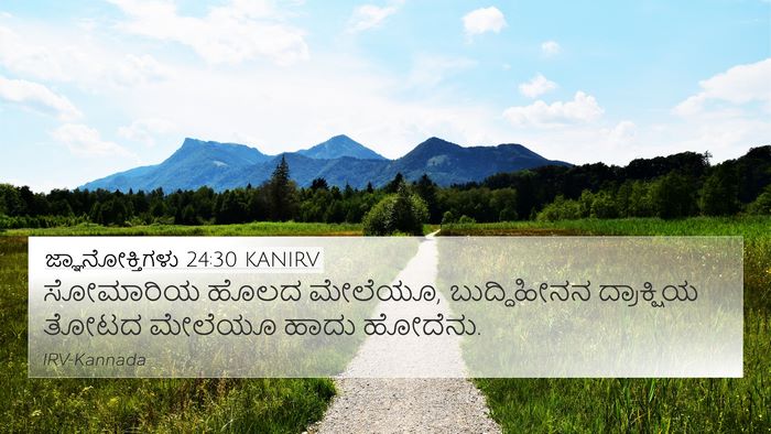 ಜ್ಞಾನೋಕ್ತಿಗಳು 24:30 KANIRV Bible Verse Image