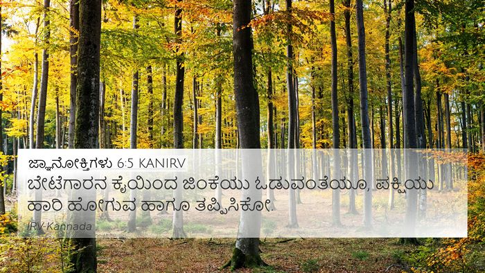 ಜ್ಞಾನೋಕ್ತಿಗಳು 6:5 KANIRV Bible Verse Image