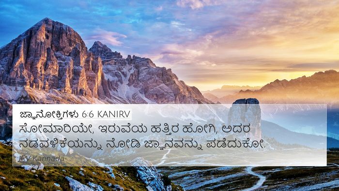 ಜ್ಞಾನೋಕ್ತಿಗಳು 6:6 KANIRV Bible Verse Image