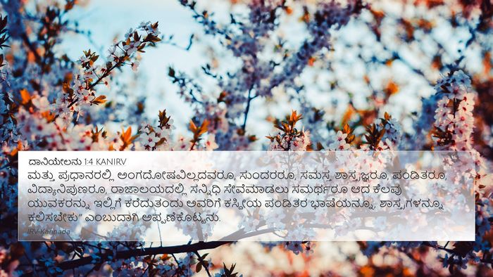 ದಾನಿಯೇಲನು 1:4 KANIRV 4K Wallpaper - ಮತ್ತು ಪ್ರಧಾನರಲ್ಲಿ - 4K Wallpaper Bible Verse