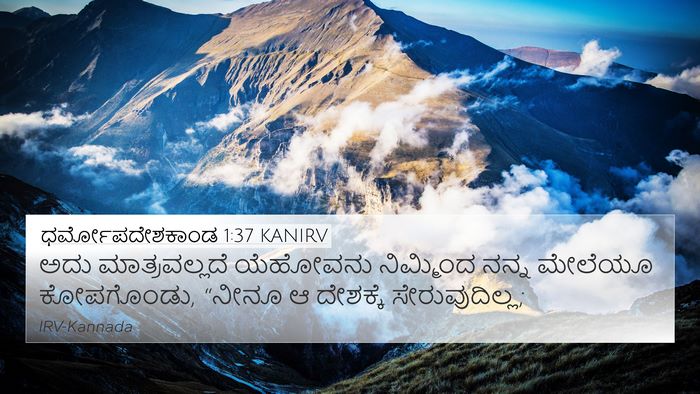 ಧರ್ಮೋಪದೇಶಕಾಂಡ 1:37 KANIRV Bible Verse Image