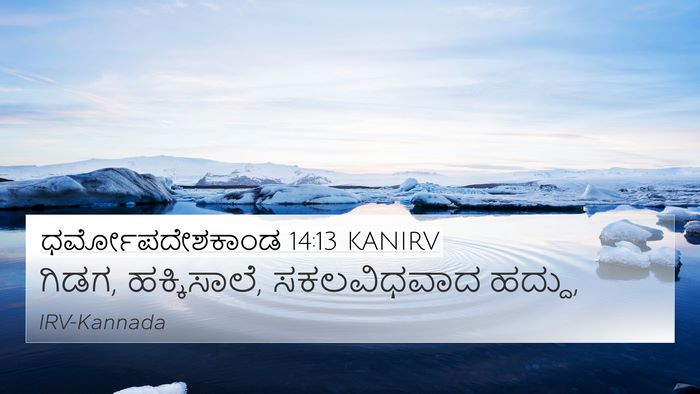 ಧರ್ಮೋಪದೇಶಕಾಂಡ 14:13 KANIRV 4K Wallpaper - ಗಿಡಗ, ಹಕ್ಕಿಸಾಲೆ, - 4K Wallpaper Bible Verse