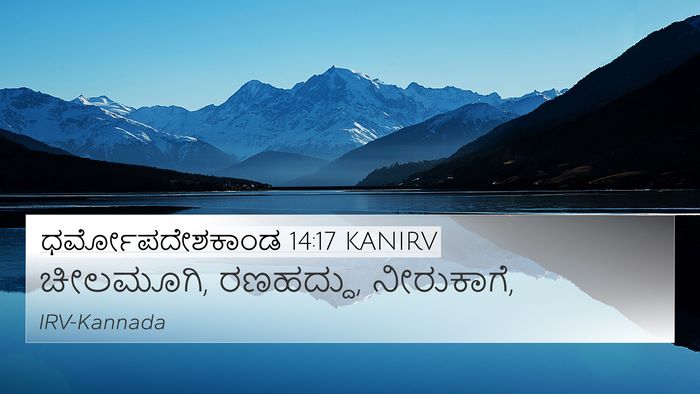 ಧರ್ಮೋಪದೇಶಕಾಂಡ 14:17 KANIRV 4K Wallpaper - ಚೀಲಮೂಗಿ, ರಣಹದ್ದು, - 4K Wallpaper Bible Verse
