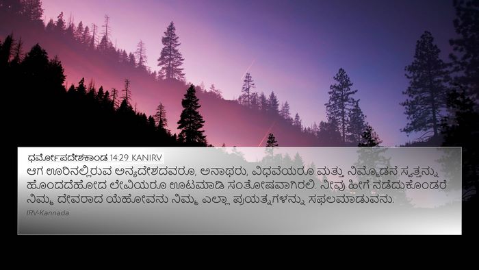 ಧರ್ಮೋಪದೇಶಕಾಂಡ 14:29 KANIRV Bible Verse Image