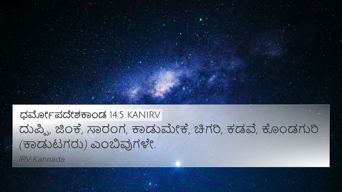 ಧರ್ಮೋಪದೇಶಕಾಂಡ 14:5 KANIRV 4K Wallpaper - ದುಪ್ಪಿ, ಜಿಂಕೆ, - 4K Wallpaper Bible Verse