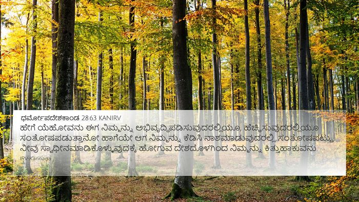 ಧರ್ಮೋಪದೇಶಕಾಂಡ 28:63 KANIRV Bible Verse Image