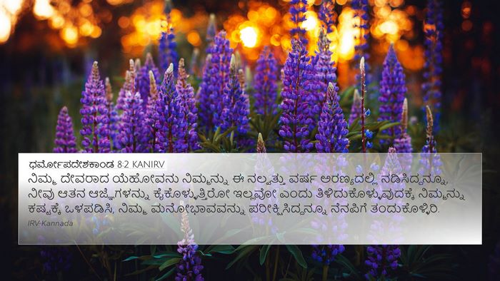 ಧರ್ಮೋಪದೇಶಕಾಂಡ 8:2 KANIRV Bible Verse Image