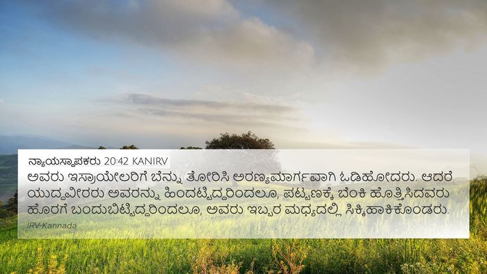 ನ್ಯಾಯಸ್ಥಾಪಕರು 20:42 KANIRV Bible Verse Image