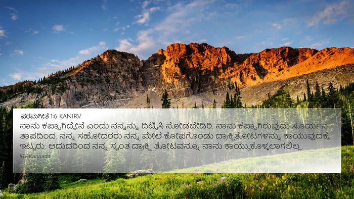ಪರಮಗೀತೆ 1:6 KANIRV Bible Verse Image