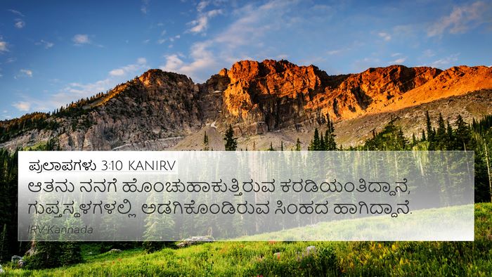 ಪ್ರಲಾಪಗಳು 3:10 KANIRV Bible Verse Image