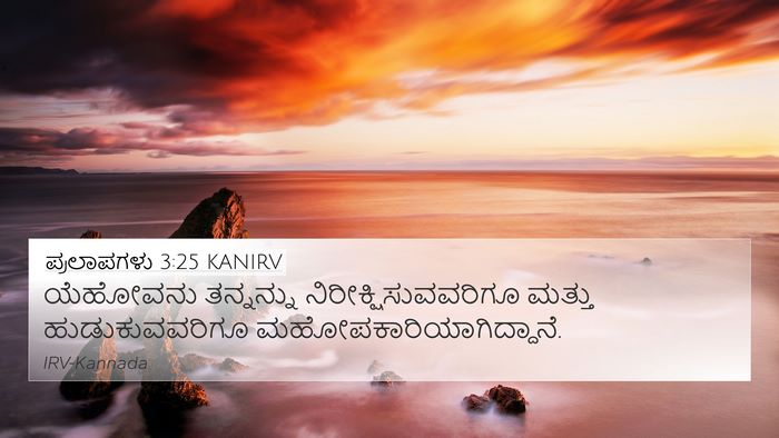 ಪ್ರಲಾಪಗಳು 3:25 KANIRV Bible Verse Image