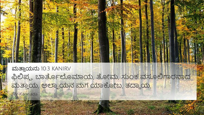 ಮತ್ತಾಯನು 10:3 KANIRV Bible Verse Image