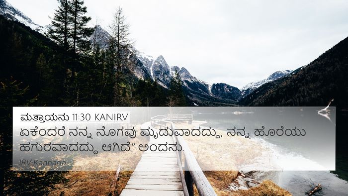 ಮತ್ತಾಯನು 11:30 KANIRV Bible Verse Image