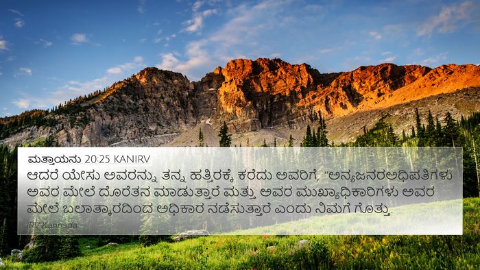 ಮತ್ತಾಯನು 20:25 KANIRV Bible Verse Image