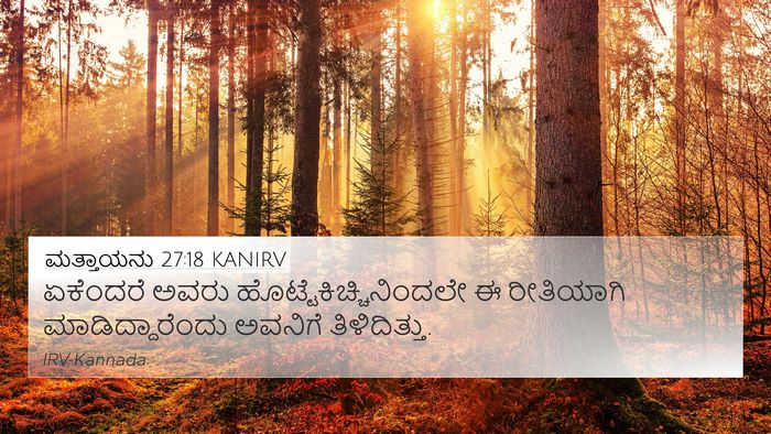 ಮತ್ತಾಯನು 27:18 KANIRV Bible Verse Image