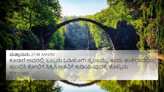 ಮತ್ತಾಯನು 27:48 KANIRV Bible Verse Image