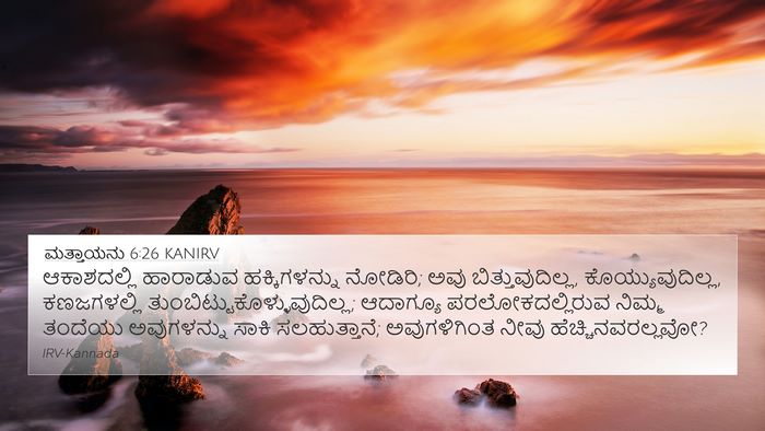 ಮತ್ತಾಯನು 6:26 KANIRV Bible Verse Image