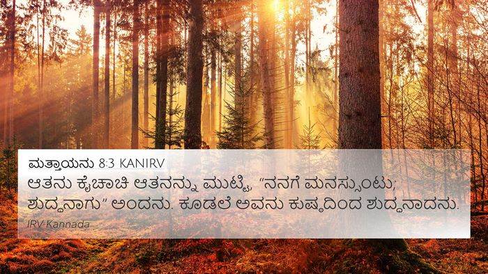 ಮತ್ತಾಯನು 8:3 KANIRV Bible Verse Image