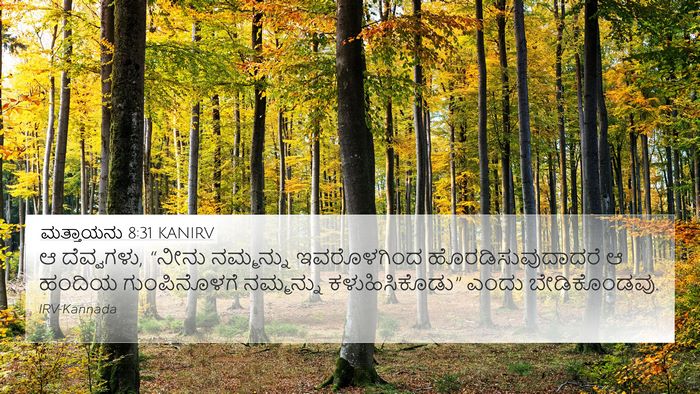ಮತ್ತಾಯನು 8:31 KANIRV Bible Verse Image