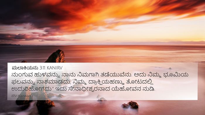 ಮಲಾಕಿಯನು 3:11 KANIRV 4K Wallpaper - ನುಂಗುವ ಹುಳವನ್ನು - 4K Wallpaper Bible Verse