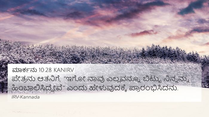 ಮಾರ್ಕನು 10:28 KANIRV Bible Verse Image