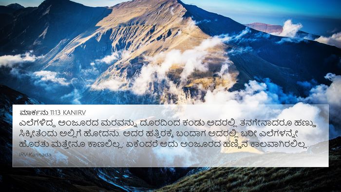 ಮಾರ್ಕನು 11:13 KANIRV 4K Wallpaper - ಎಲೆಗಳಿದ್ದ ಅಂಜೂರದ - 4K Wallpaper Bible Verse