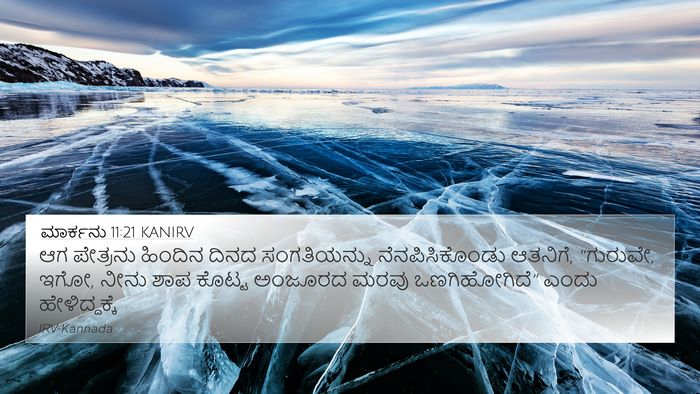 ಮಾರ್ಕನು 11:21 KANIRV 4K Wallpaper - ಆಗ ಪೇತ್ರನು ಹಿಂದಿನ - 4K Wallpaper Bible Verse