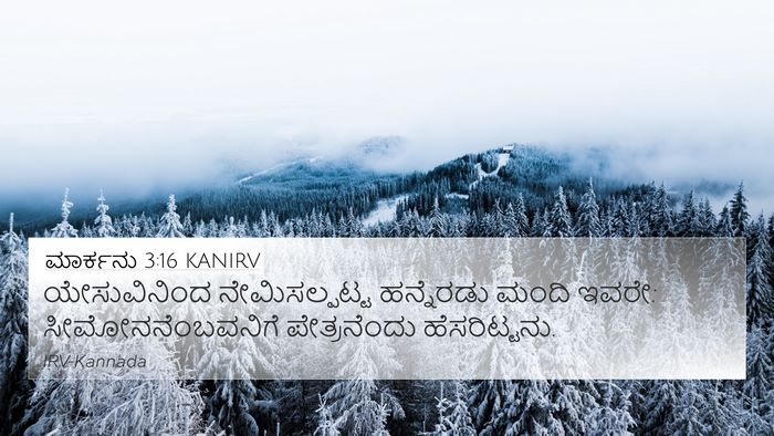 ಮಾರ್ಕನು 3:16 KANIRV Bible Verse Image