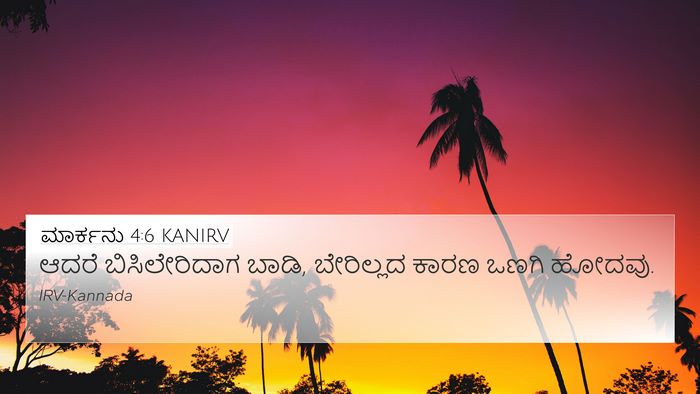 ಮಾರ್ಕನು 4:6 KANIRV Bible Verse Image