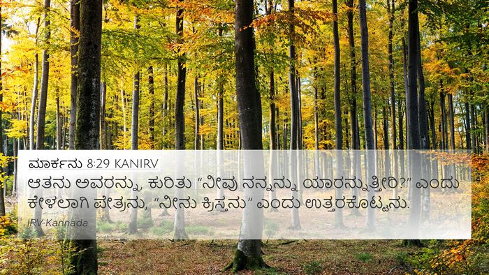 ಮಾರ್ಕನು 8:29 KANIRV Bible Verse Image