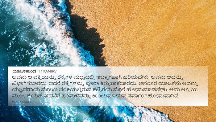ಯಾಜಕಕಾಂಡ 1:17 KANIRV 4K Wallpaper - ಅವನು ಆ ಪಕ್ಷಿಯನ್ನು - 4K Wallpaper Bible Verse