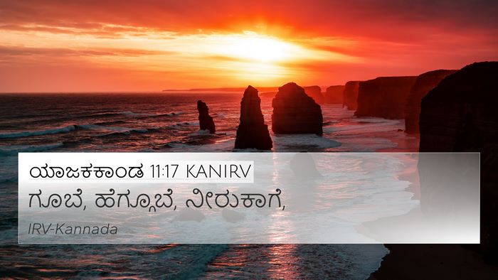 ಯಾಜಕಕಾಂಡ 11:17 KANIRV 4K Wallpaper - ಗೂಬೆ, ಹೆಗ್ಗೂಬೆ, - 4K Wallpaper Bible Verse