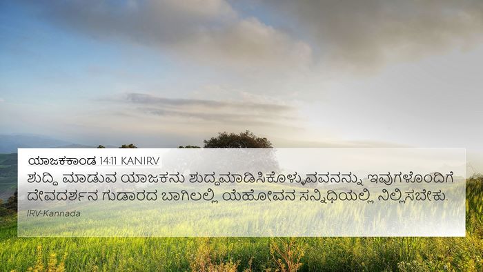 ಯಾಜಕಕಾಂಡ 14:11 KANIRV 4K Wallpaper - ಶುದ್ಧಿ ಮಾಡುವ - 4K Wallpaper Bible Verse